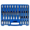 Bit-Einsatz-Sortiment 1/2" - Innenvielzahn - 26-teilig 1 Bit-Einsatz-Sortiment 1/2" - Innenvielzahn - 26-teilig -Heimwerkzeuge Verkauf 02 396
