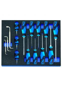 Schraubendreher-Satz - 3K-Griff - In Check-Tool-Modul - 15-tlg 3 Schraubendreher-Satz - 3K-Griff - In Check-Tool-Modul - 15-tlg
