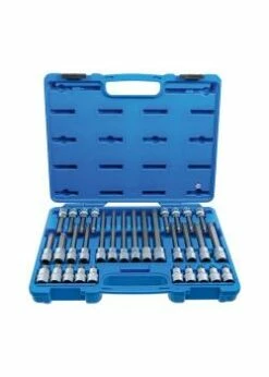 Bit-Einsatz-Satz - Antrieb Innenvierkant 12,5 Mm (1/2") - TP-Profil (für Torx Plus) TP20 Bis TP70 - 32-tlg.