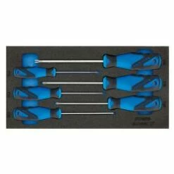 Schraubendreher-Satz TX - In Check-Tool-Modul 1/3 - T8 - T30 - 6-tlg.